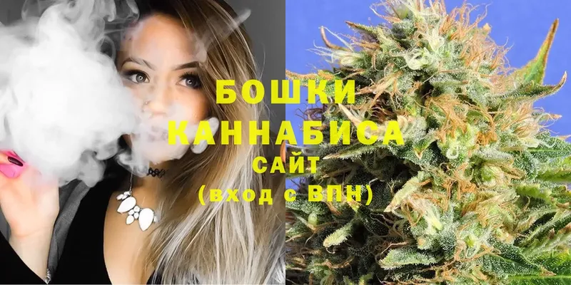 сколько стоит  Пролетарск  Шишки марихуана SATIVA & INDICA 